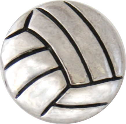 Statement Volleyball Snap