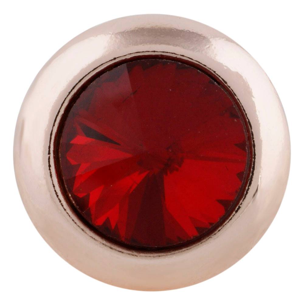 Petite January Birthstone Snap