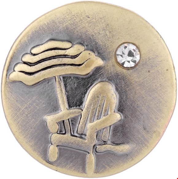 Statement Beach Chair Snap