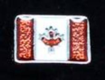 Canadian Flag Locket Charm