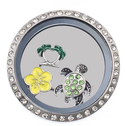 Statement Crystal Circle Snap Locket