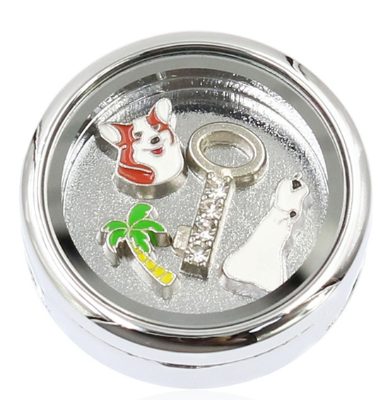 Statement Circle Snap Locket