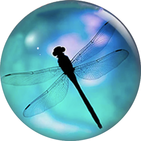 Statement Dragonfly Snap