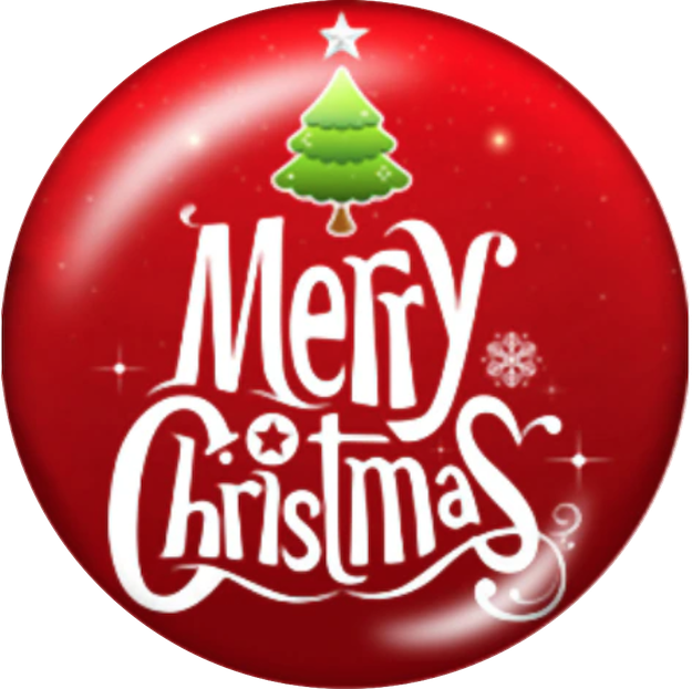 Statement Merry Christmas Snap