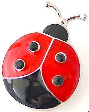 Ladybug Statement Snap