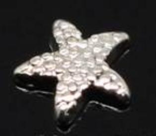 Silver Starfish Locket Charm