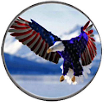 Statement Flag Eagle Snap