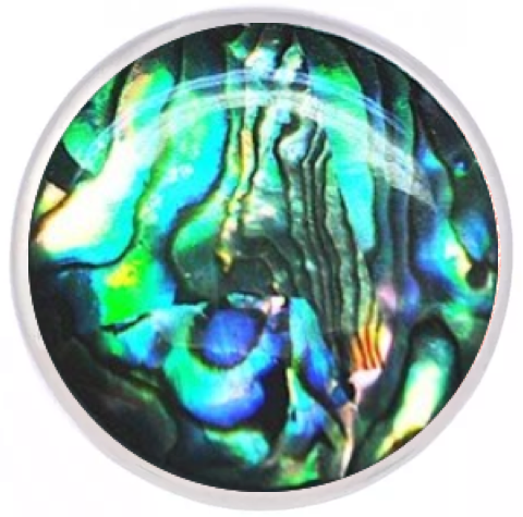 Statement Abalone Style Snap