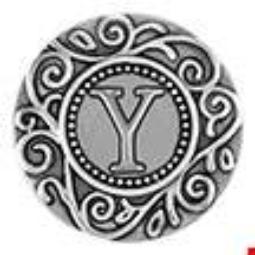 Statement Swirl Letter Y Snap