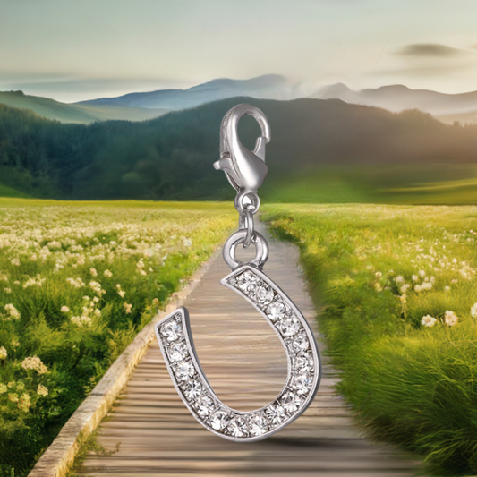 Crystal Horseshoe Clip Charm