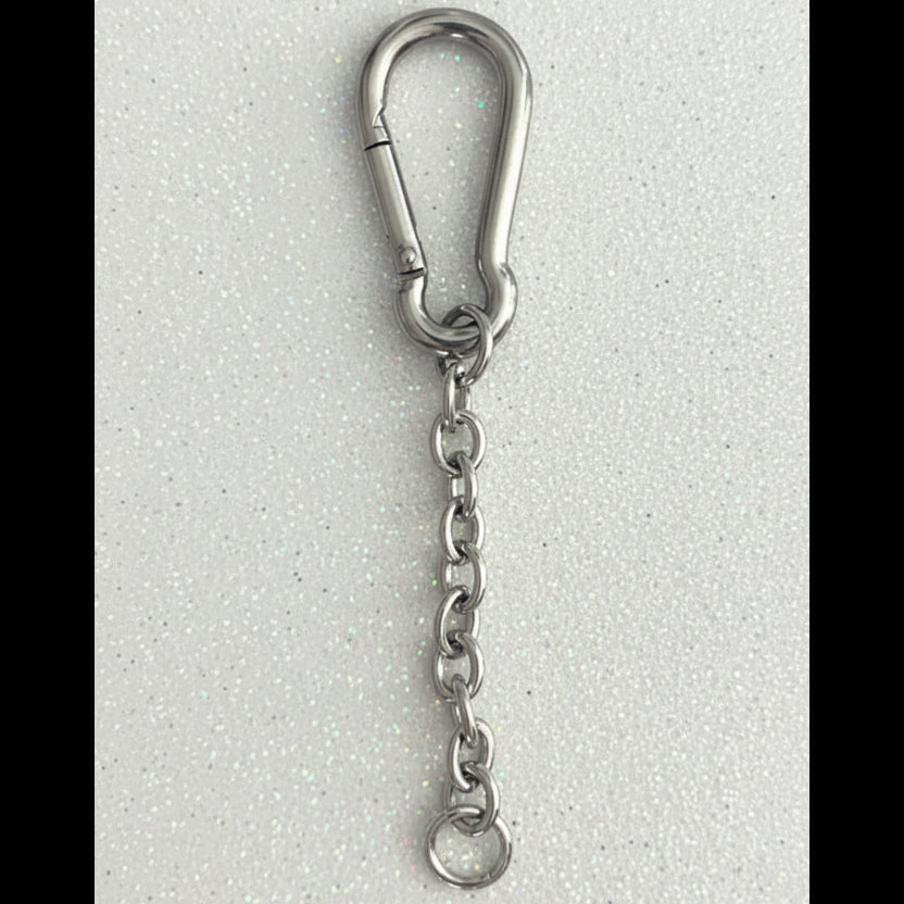 A silver metal carabiner with a short chain link extension and a small ring at the end, shown against a plain off-white background.