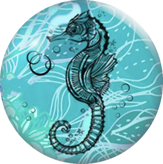 Statement Seahorse Snap