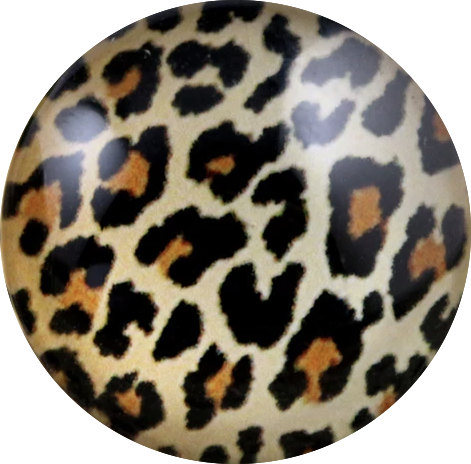 Leopard Print Statement Snap