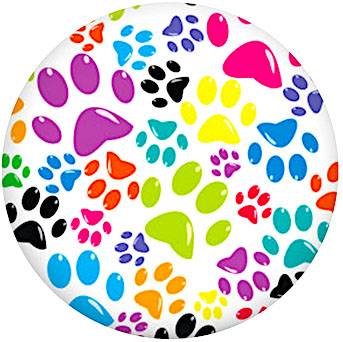 Paw Prints Statement Snap